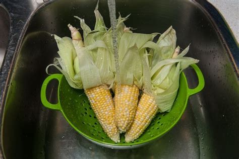 How to Freeze Corn on the Cob Without Blanching | Frozen corn, Corn, Corn on cob