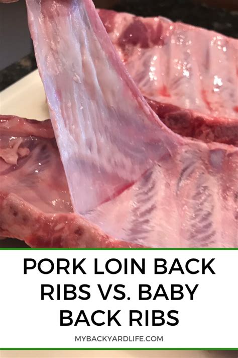 Pork Loin Back Ribs vs. Baby Back Ribs (Is There a Difference?) | Pork ...