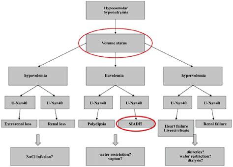 Diagnostic algorithm for hyponatremia. | Download Scientific Diagram