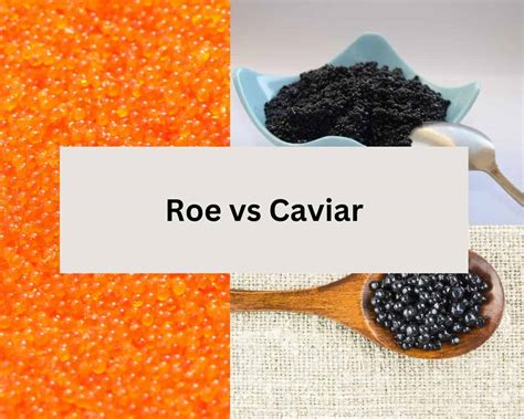 Roe vs Caviar: What Makes Them Different? - Drizzle Me Skinny!