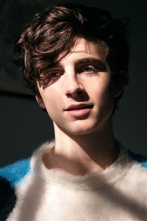 Timothee Chalamet photo gallery - high quality pics of Timothee ...