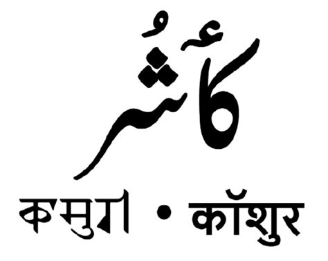 The making of the Kashmiri language Wikipedia - Muslim Mirror