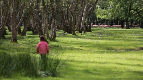 Espace Rambouillet Forest | INSPIRELLE