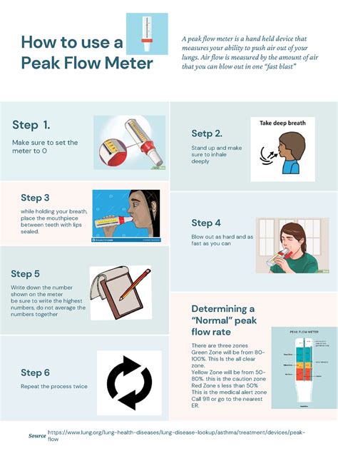 How to use peak flow meter - while holding your breath, place the ...