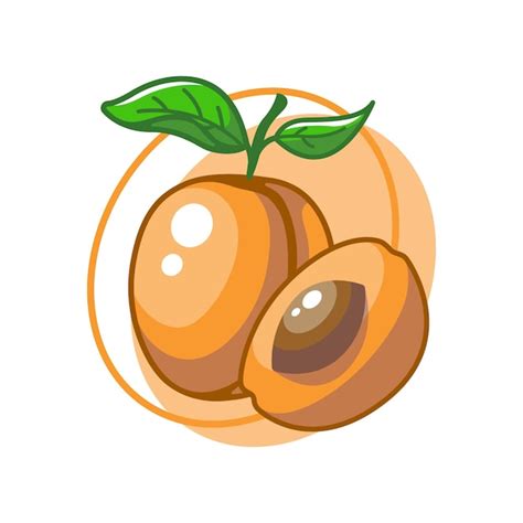 Premium Vector | Peach fruit drawing illustration design