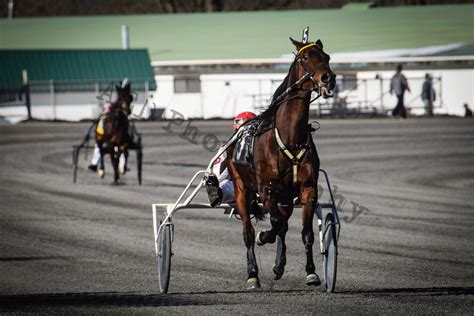 Check out the photos from Saratoga Harness Track. | Harness, Harness racing, Saratoga