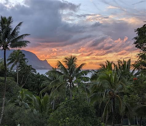 Island of Kauai. Overlooking Hanalei Bay at sunset [OC] [3551x3072] : r/lonely_stoner