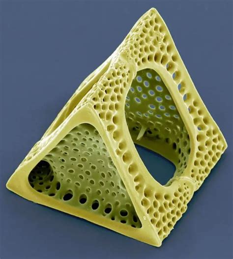 Diatom Art – nature under the microscope - Ideas2Live4