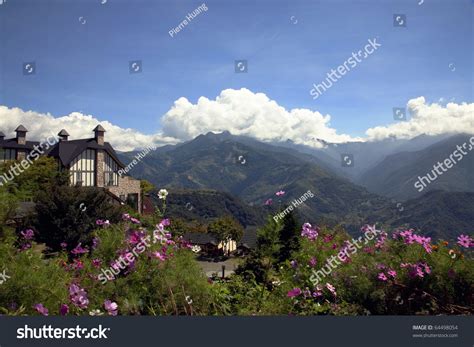 A Beautiful Europe Style House With A Lovely Garden On The Mountain ...