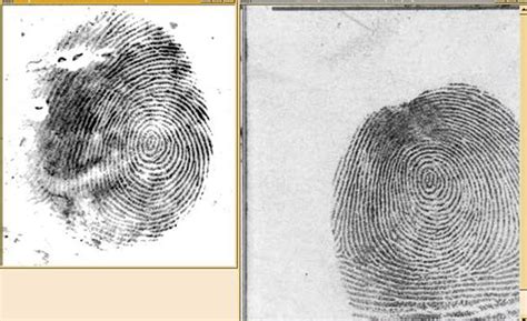 Fingerprint: AFIS Accuracy and the Unidentified Latent Image