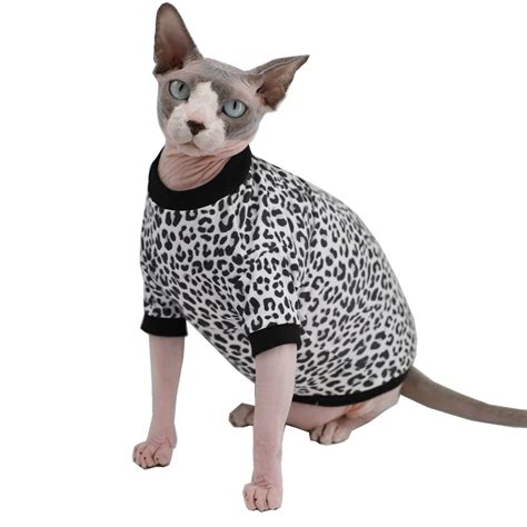 Sphynx Cats In Clothes | ubicaciondepersonas.cdmx.gob.mx