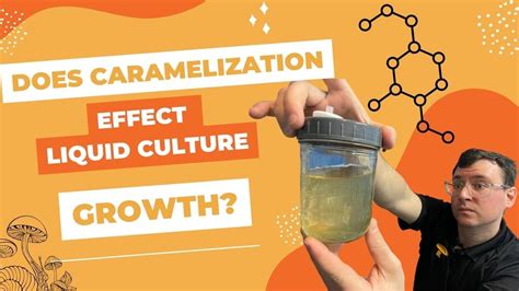 Does Caramelization Effect Liquid Culture Growth? - YouTube