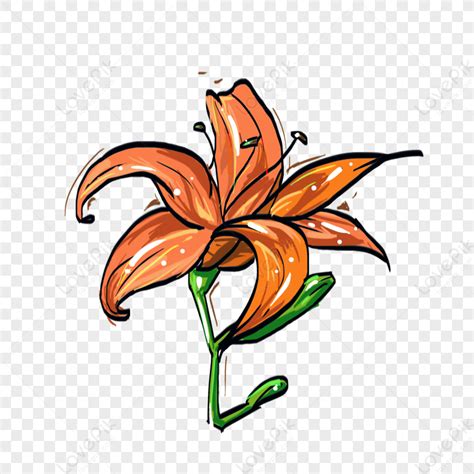 Valerian Flower, Drawing Flower, Flower Illustration, Flower Vector PNG Picture And Clipart ...