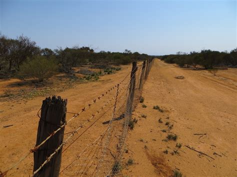 A Wandering Naturalist: Australia: Rabbit-Proof Fence