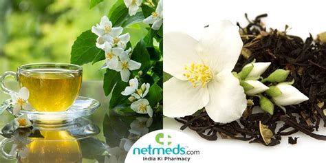 Jasmine Flower Tea Benefits For Skin | Best Flower Site