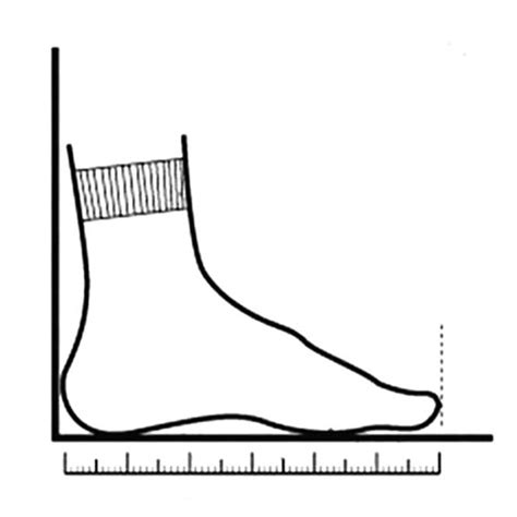 Whitin Shoes Size Chart Table + Measuring Instruction