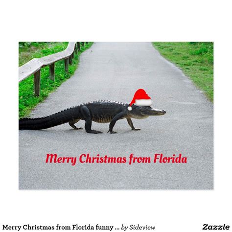 Merry Christmas from Florida funny alligator Postcard | Zazzle ...