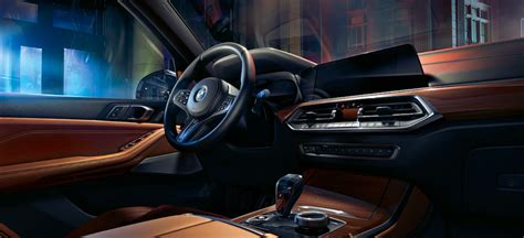 Bmw X5 2020 Interior Colors - Home Alqu