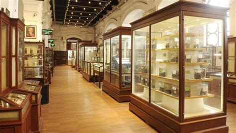 Photos: Revamped galleries and new exhibits at Kolkata’s Indian Museum ...