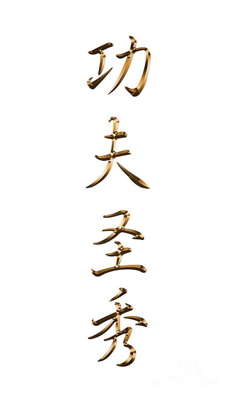 Kung Fu San Soo Chinese Characters Typography Digital Art by Leah ...