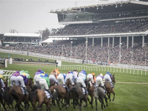 Why Cheltenham Festival Is A Must-Visit Venue - The Long Trip Home