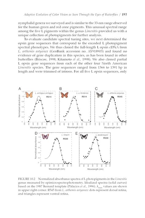 10 Adaptive Evolution of Color Vision as Seen Through the Eyes of Butterflies--FRANCESCA D ...