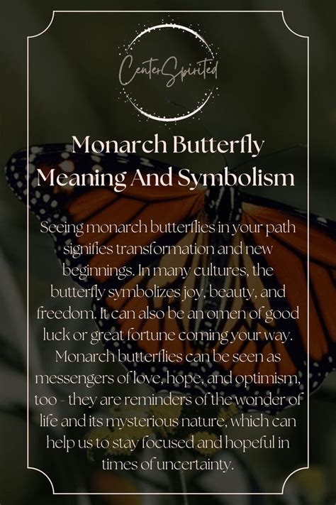 Monarch Butterfly Meaning And Symbolism of Seeing OneMonarch ...