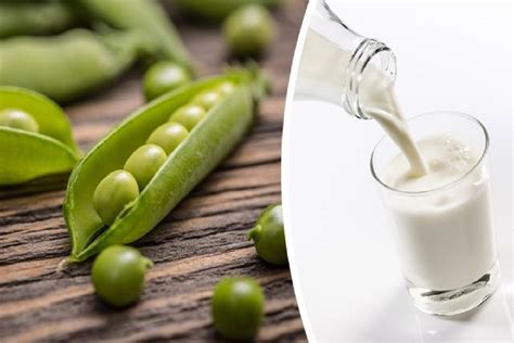 5 Reasons I Drink Pea Milk Every Day Instead Of Dairy - Holistic Living Tips