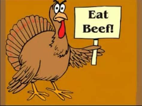 Funny Turkey Facts on Thanksgiving - YouTube