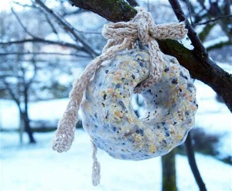 8 DIY Homemade Birdseed Wreath