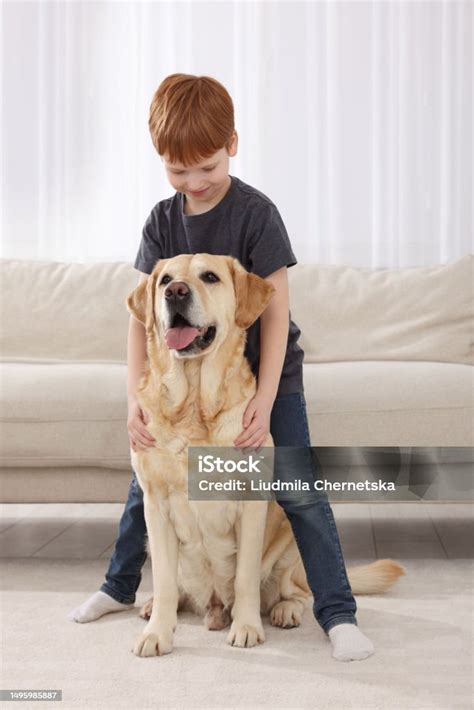 Cute Child With His Labrador Retriever At Home Adorable Pet Stock Photo ...