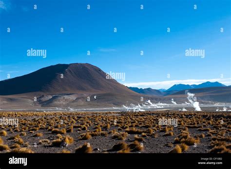 El Tatio Geysers, Atacama Desert, Chile Stock Photo - Alamy