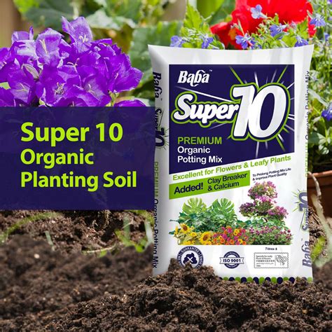 Buy Organic Soil Online: Reliable Flower and Vegetable Soil in Malaysia ...