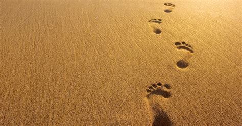 How Did 'Footprints in the Sand' Become So Popular Among Christians ...