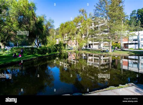 The park and lagoon at the University of Concepcion Campus, Chile Stock Photo - Alamy