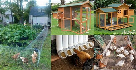 Chicken Tractor For 20 Chickens ~ large chicken coop diy