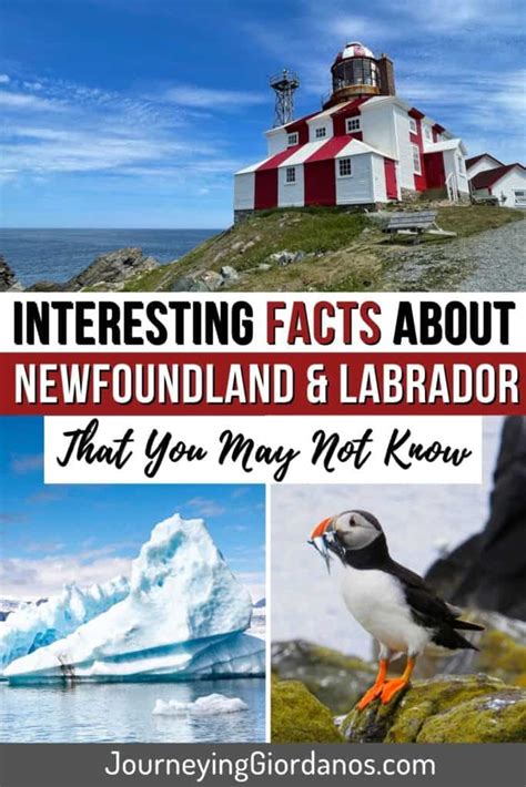 97 Fun and Interesting Facts About Newfoundland and Labrador