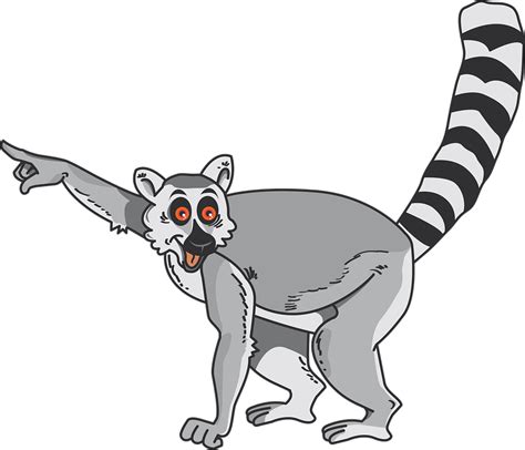 Free vector graphic: Lemur, Animal, Comic, Madagascar - Free Image on Pixabay - 1312198