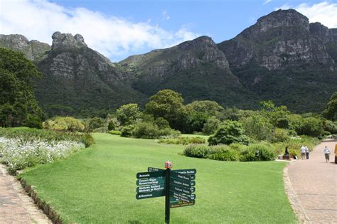 The breathtaking Kirstenbosch National Botanical Garden #capetown # ...