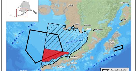 North Pacific Right Whale: Protection