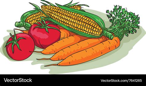 Vegetable garden crop harvest drawing Royalty Free Vector