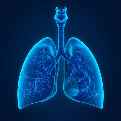 Pleural Diseases | Advanced Thoracic