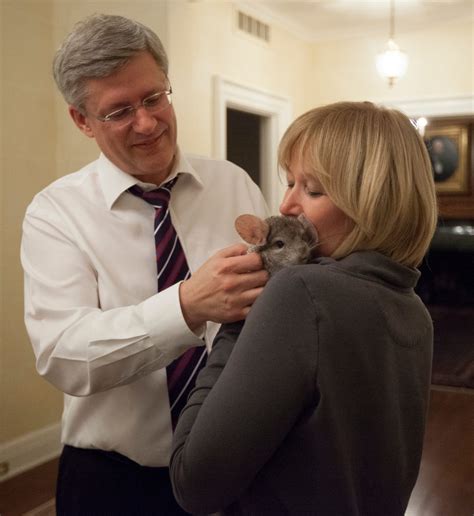 Stephen Harper’s pet chinchilla steals live-tweet spotlight | CTV News