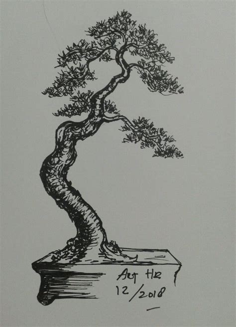 Gambar Sketsa Bonsai – DIKBUD