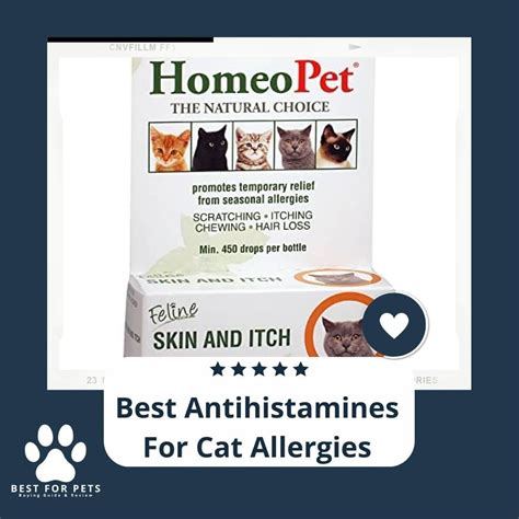 The Best Antihistamines For Cat Allergies To Buy - BestForPets.org