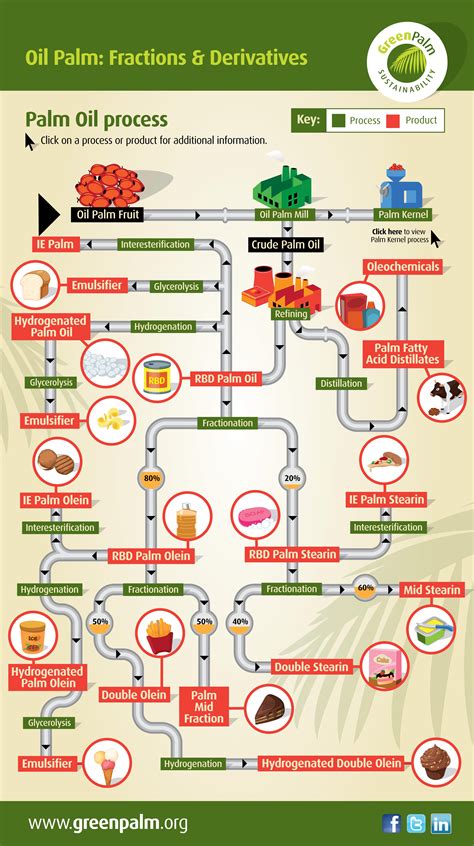 Palm oil derivatives | SPOTT.org