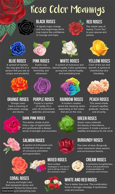 لغة الزهور وما تُشير إليه ألوانها وحقائق عن الزهرة التي تلامس القلوب