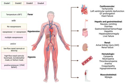 JCM | Free Full-Text | Exploring CAR-T Cell Therapy Side Effects: Mechanisms and Management ...