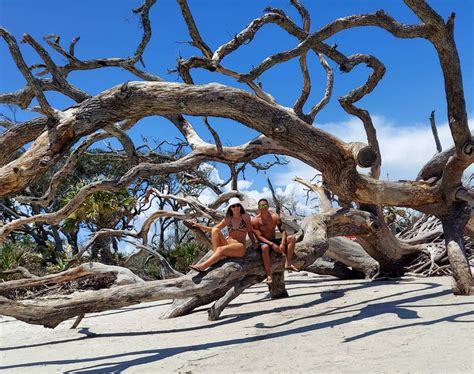 Your Guide to Visiting Driftwood Beach on Jekyll Island | Lighthouse ...