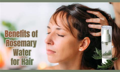 7 Benefits of Rosemary Water for Hair - The Coconut Mama